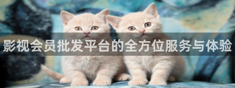 青柠神马影院：影视会员批发平台的全方位服务与体验