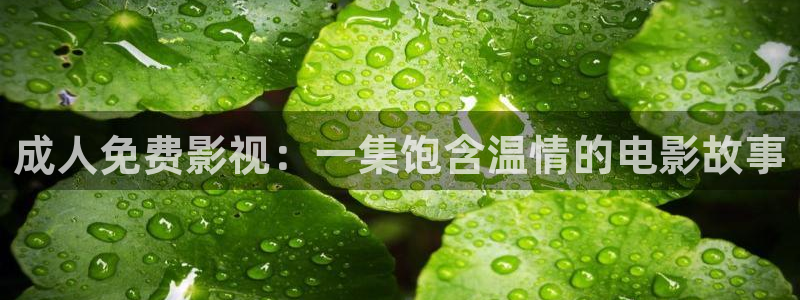 青柠影视网：成人免费影视：一集饱含温情的电影故事